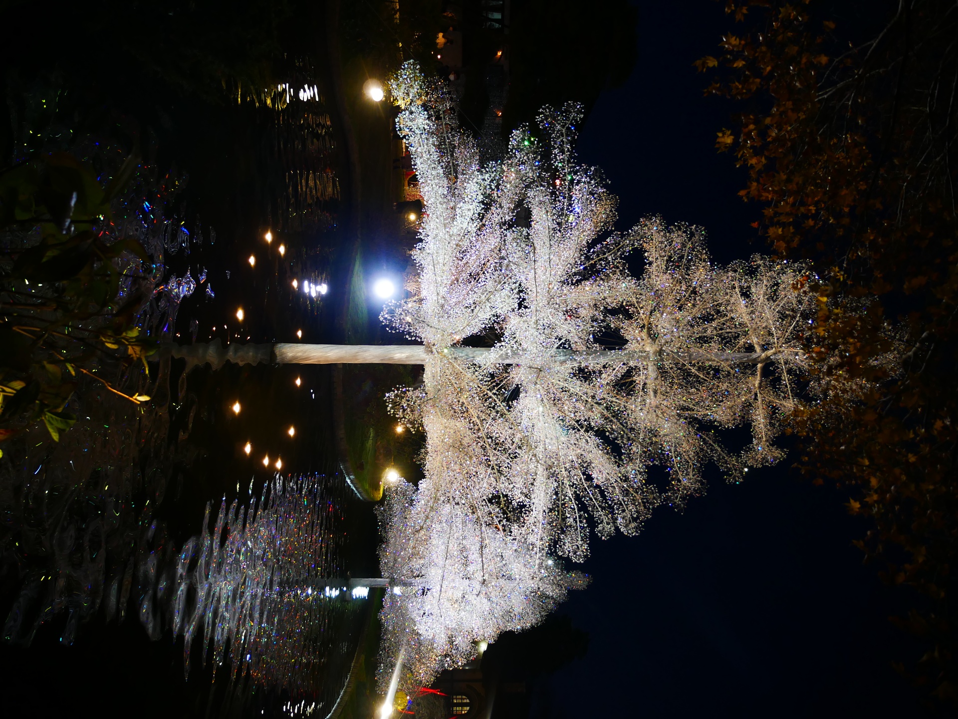イラスト、写真、ガラスの森の夜